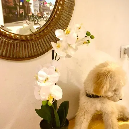 Green Rooms Ferrara 4*